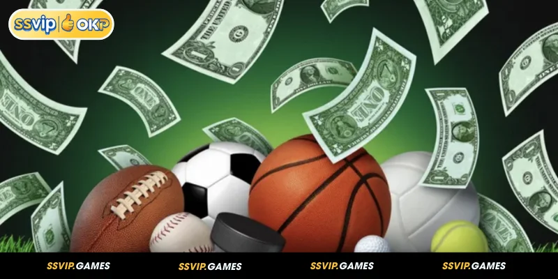 Guia de Sucesso para Suas Apostas